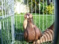 /album/fotogalerie1/prk-04-jpg/