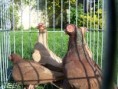 /album/fotogalerie1/prk-05-jpg/