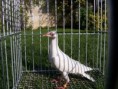 /album/fotogalerie4/ddr-01-jpg/